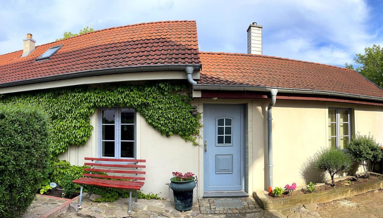 Fewo Im Kneipenviertel Altkoetzschenbroda ราเดอบอยล์ ภายนอก รูปภาพ